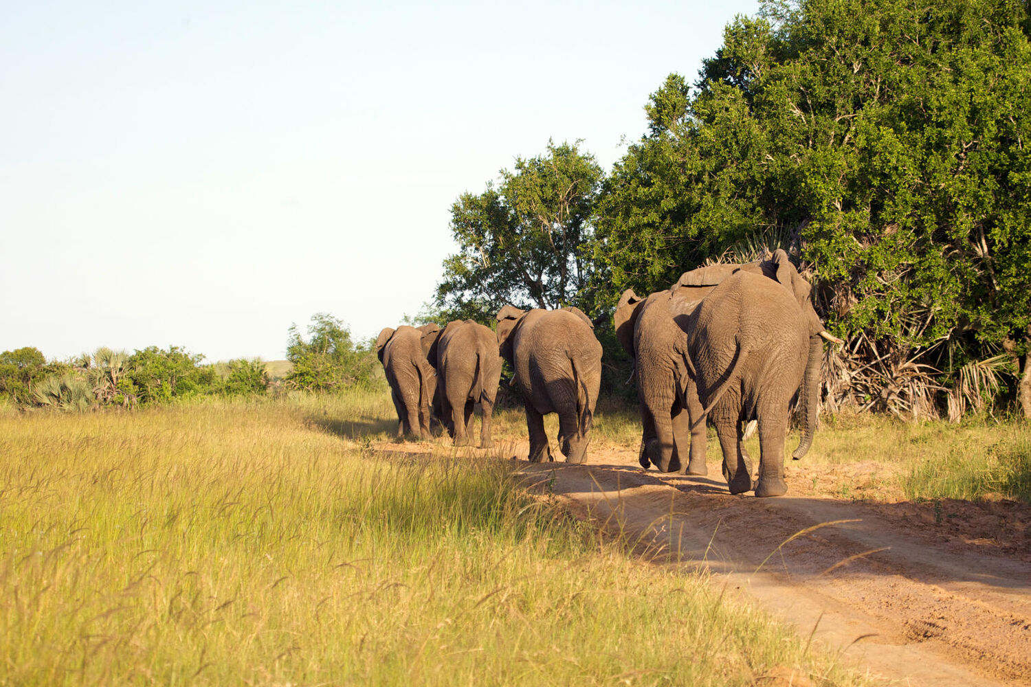 PlaceholderImage1302